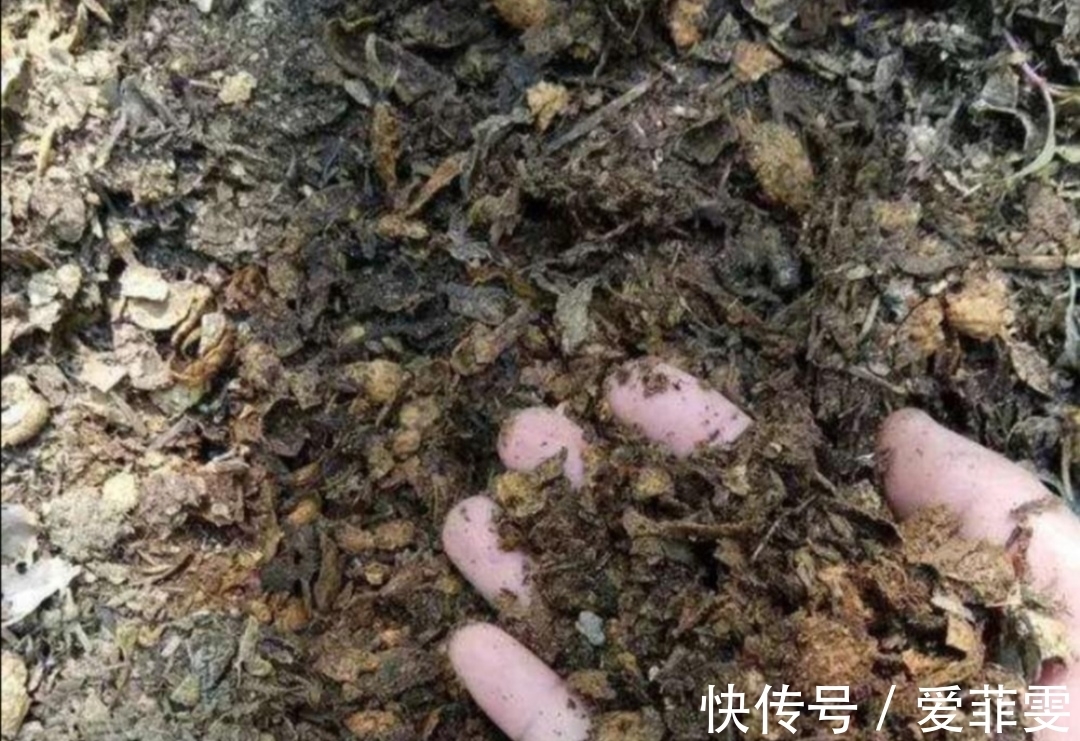 在家自制营养土，松软透气养分足，轻松养好各种花