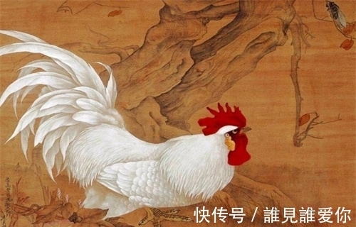 周星驰@唐伯虎画了只鸡,即兴题了首诗,不料成千古名作,还编入小学课本