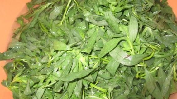  不起眼|农村不起眼的植物，有活血通经、行瘀止血的功效，用对了是宝