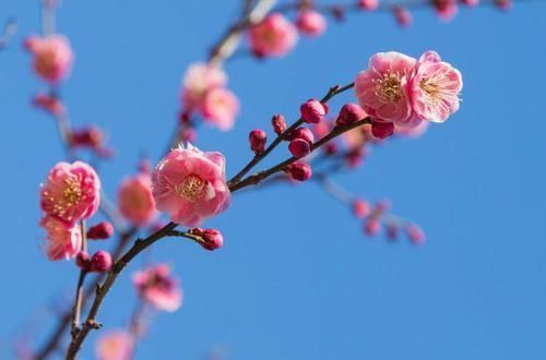 化妆品|吃穿无所谓,但喜欢用化妆品的中年女人,是怎么想的?