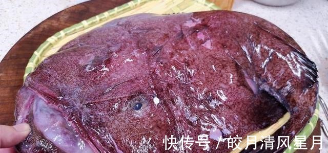 安康鱼|市场遇到这食材,我从不手软,营养极高,比吃牛羊肉强,别不懂吃!