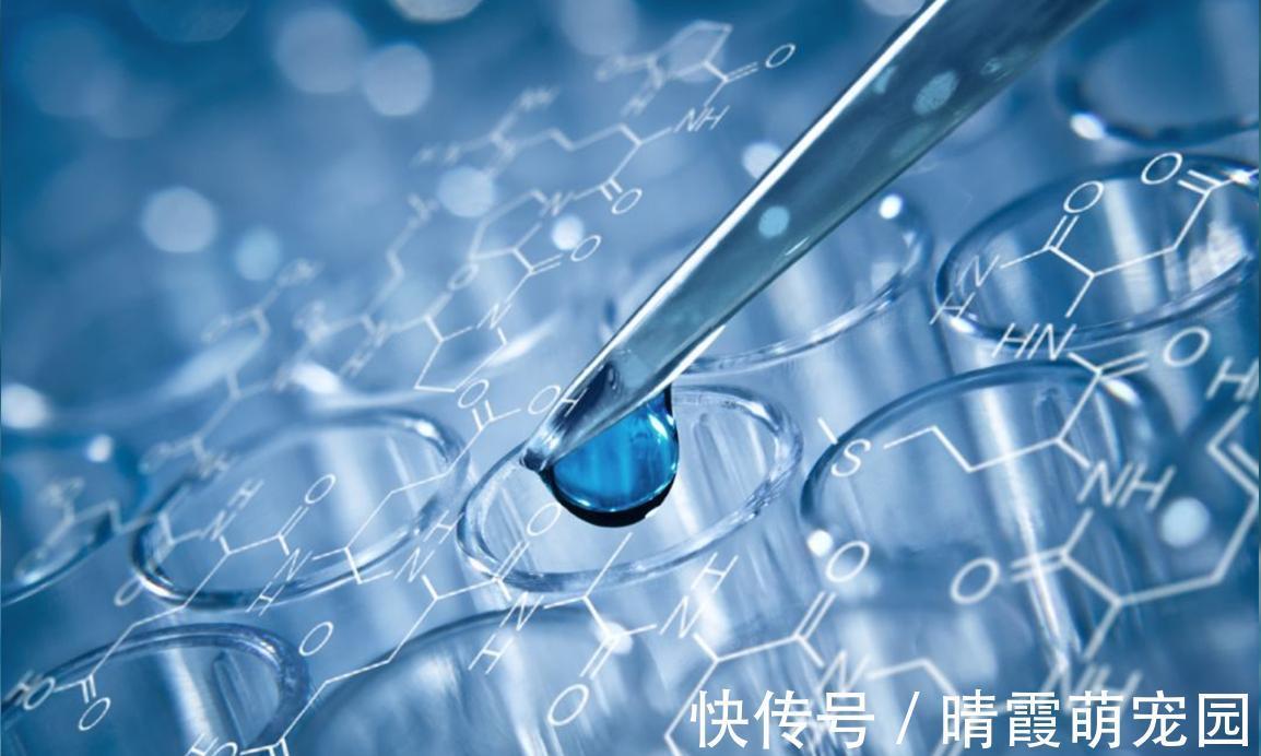 营养物质|养肝就是养命！这4个“臭毛病”不改，肝脏迟早“伤痕累累”