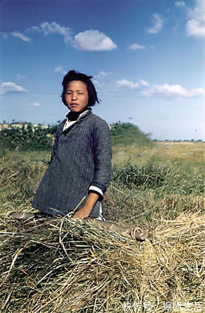 身价|郭台铭老谋失算10年富士康女工,抢东家生意,身价超580亿