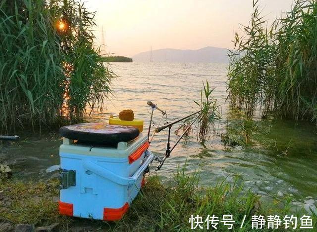 立冬过后,怎样选择钓位?掌握了这四点,才是收获满满的关键