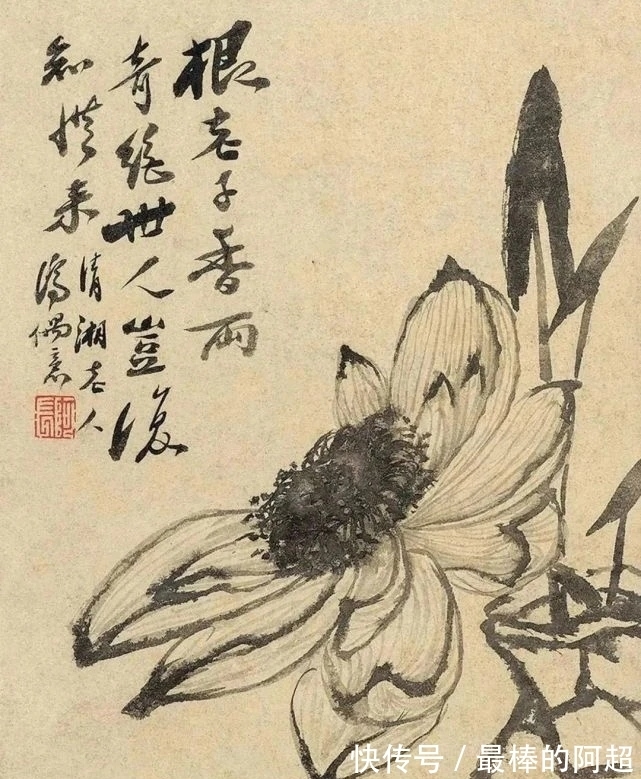 文人画|从石涛、黄宾虹谈中国画的笔墨精神