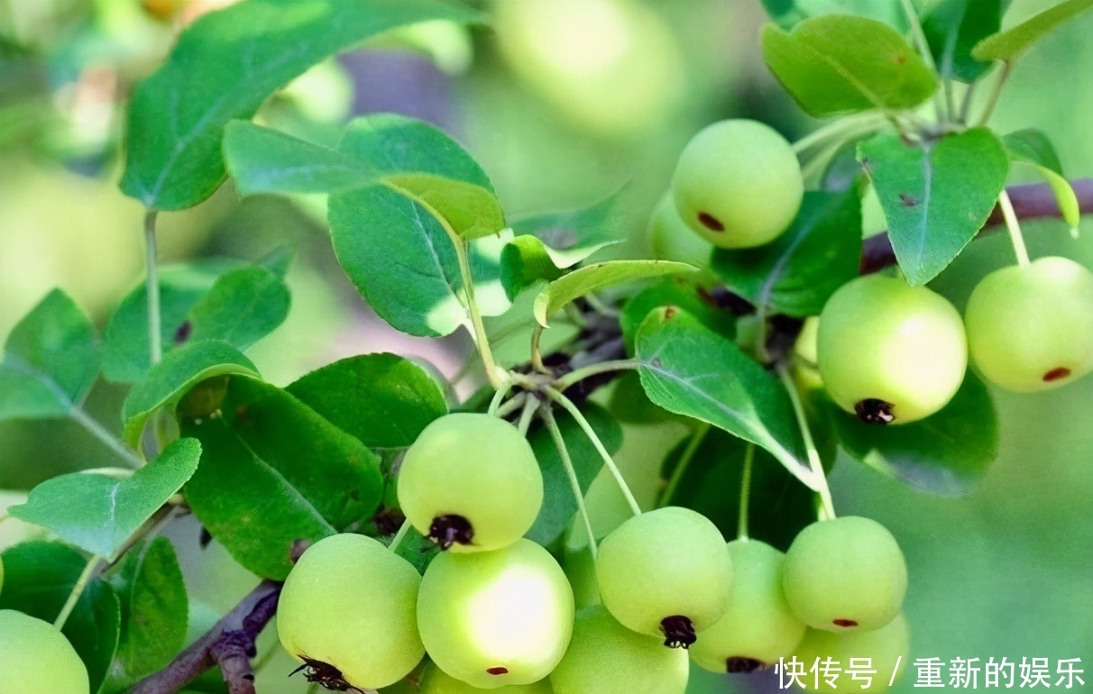 爱美女性多吃3种食物，补血益气，开胃健脾，爱吃就赚了