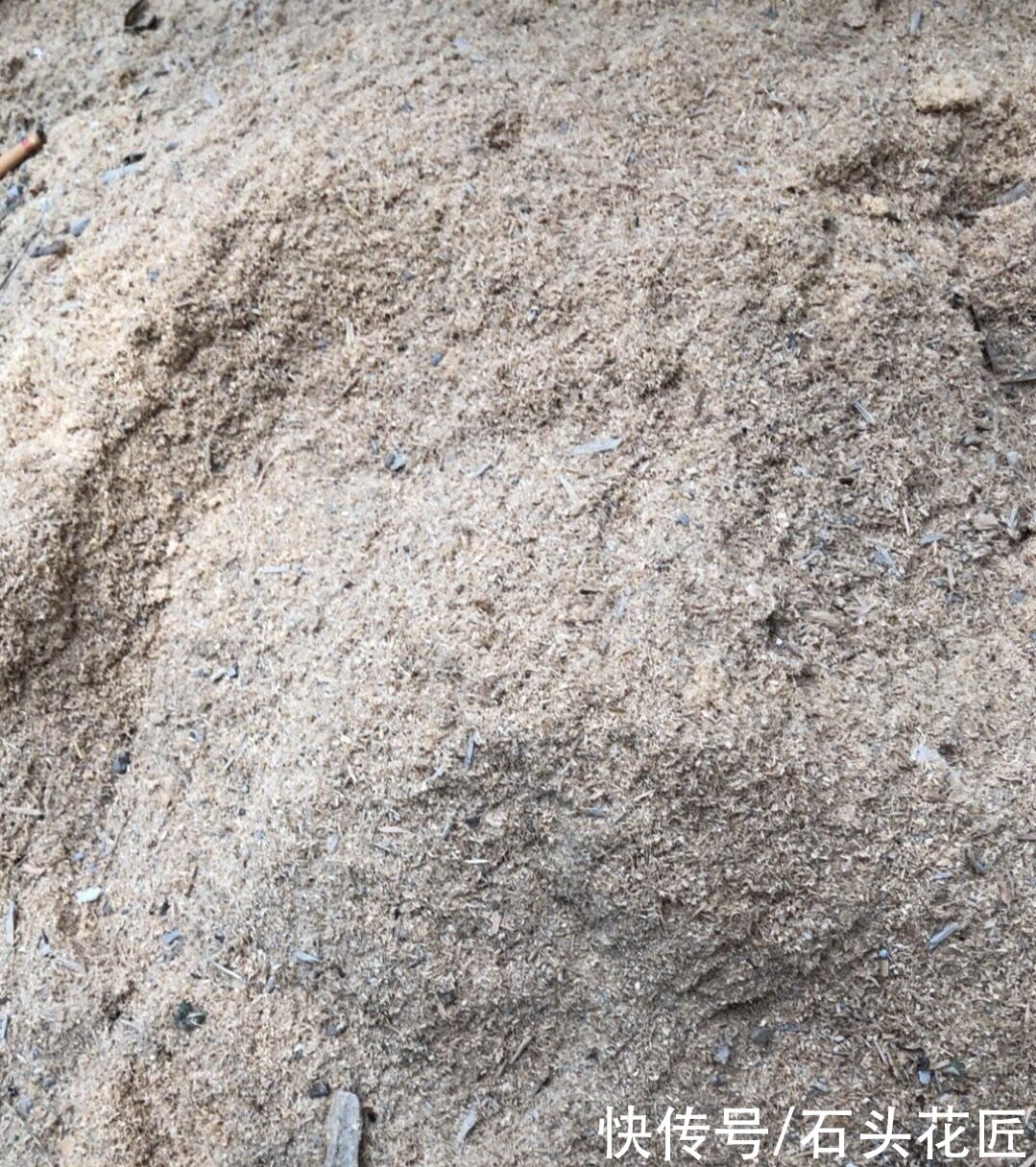 用“木屑”养花是宝贝，但是一定要提前做好“1步”，才能用