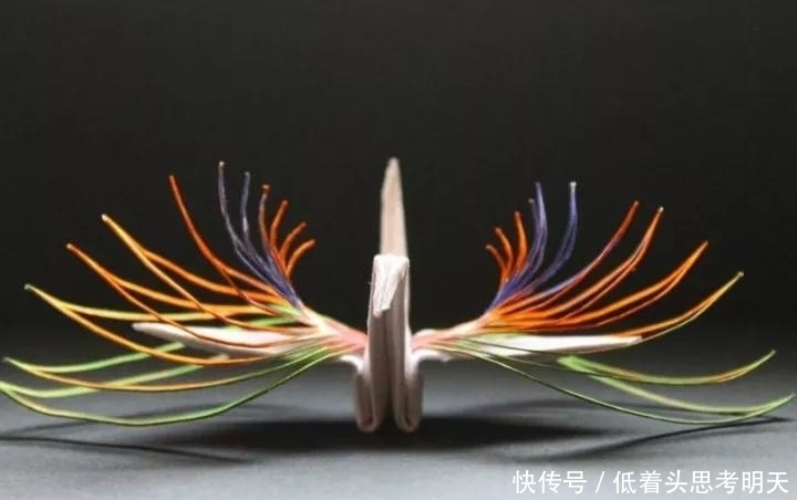 重样|每天折一只千纸鹤,他坚持了1000天不重样,女友被感动到梨花带雨