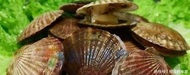 干贝怎么洗厨师教你技能,很简单