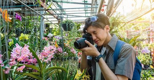 夏天养君子兰和兰花,切记要三懒一勤,夏天长势好、冬天开花多