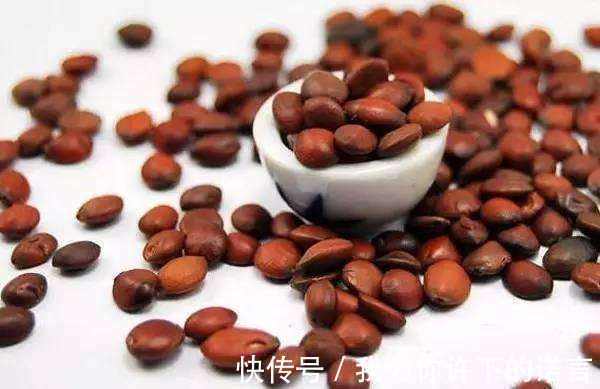 酸枣仁|此物被称为天然“安眠药”,每天一把,失眠不找,一觉睡到大天亮