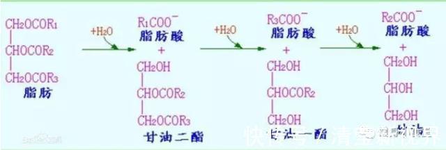 饮水|容易被忽视的,最简单的增肌减脂技巧多喝水