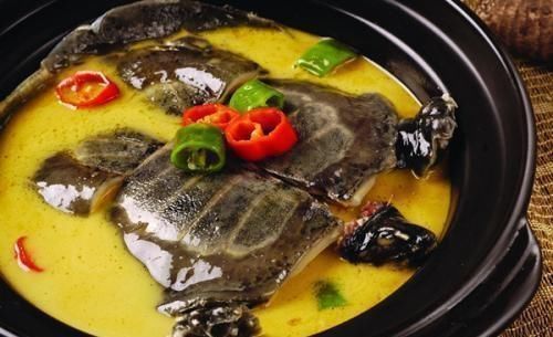 宝贝|鲶鱼是很脏的鱼？其实它全身都是宝贝，营养价值还堪比甲鱼
