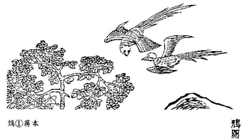 山海经|山海经北山经中的怪兽全图文解说四,其中怪兽你认识几个