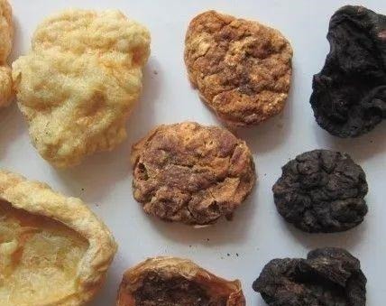 婆婆|生完宝宝后,你的胎盘“埋了”还是“吃掉”?做法不同结果大不同