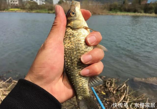 钓友|冬季钓鱼到底是晴天好还是雨天好?选对天气才能钓得更多