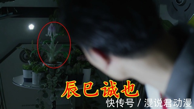 剑悟|特利迦24:两位大人物看向露露耶,这朵火星之花到底有何作用