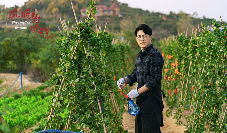 与新时代农村“零时差”，靳东主演《温暖的味道》用田园生活治愈都市冷漠症