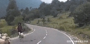 绳子|“绑根绳子能防止沙子掉吗”没看到那两根棍子吗哈哈哈