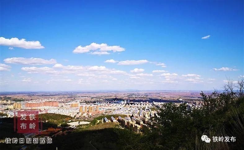 青山|绿水青山｜发现家乡的美