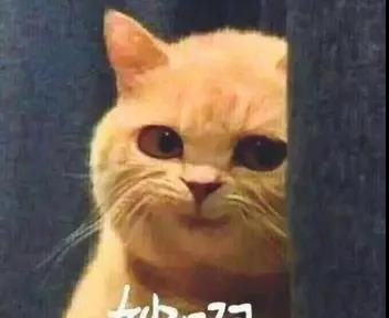 名媛|梦幻西游：名媛拼单来不来