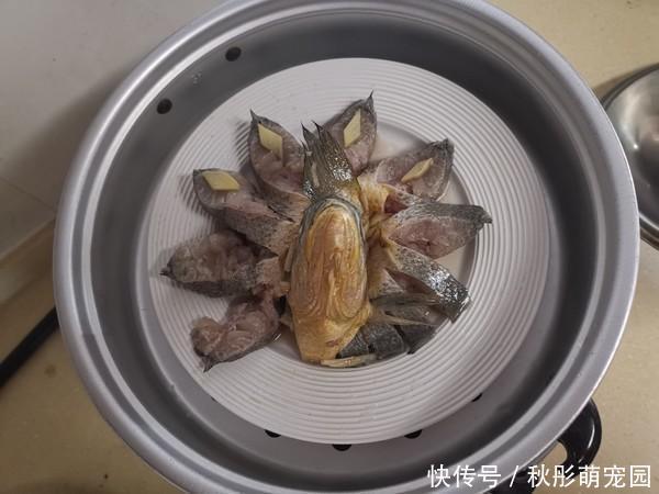 黄花鱼|它是被“误解”最多的鱼,浑身是宝,比甲鱼营养,6元1斤没人吃