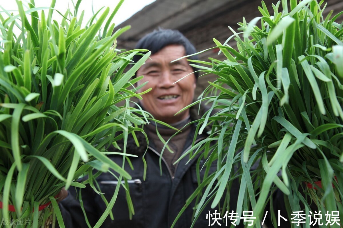 清水|韭菜用清水是洗不干净的，多放一样，快速去除农药残留，放心吃