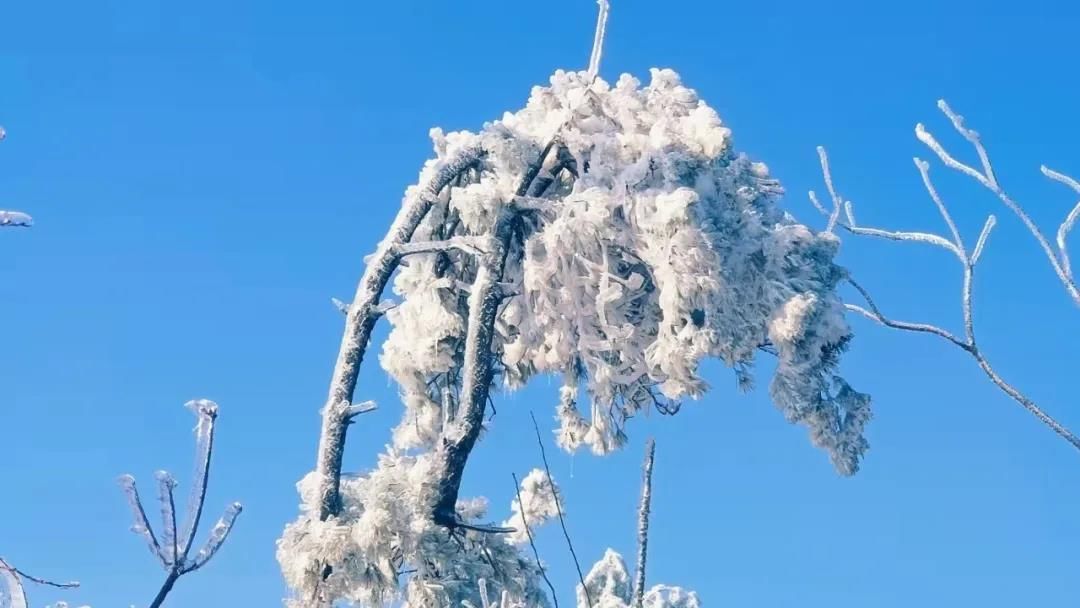 雾凇|绝了！天台冬季美景，宛如冰雪世界！一天看8小时都不够!