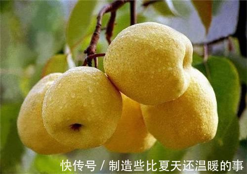 番荔枝|女性过了40岁,常吃3种食物,清热排毒,刮油清脂,消除疲劳