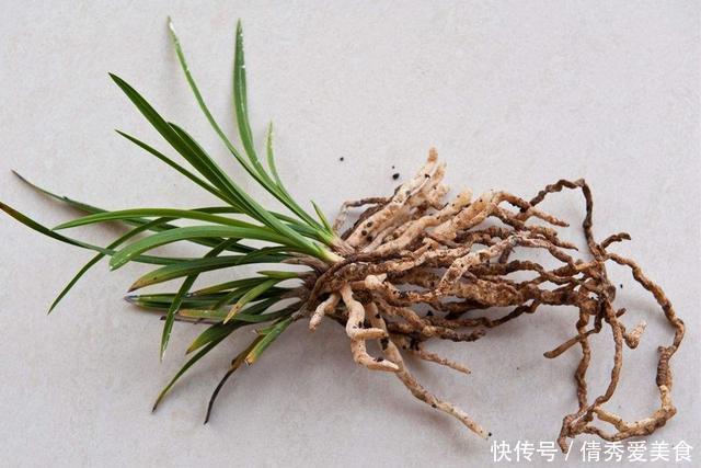 “生根剂”还需要买?路边捡点,直接扔盆里,30天就能看白根!