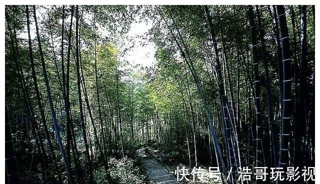 八景|湖北鄂州：打造龙山旅游景区 振兴乡村经济发展