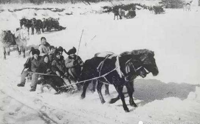 官员|宁古塔到底有多可怕,为何古代的官员都非常惧怕被流放至此?