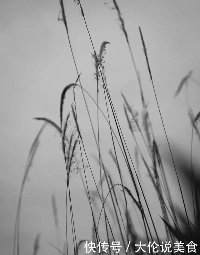 【诗词鉴赏】冬天来了,乡愁更浓了,10首思乡的诗词,让人怎能不思乡!