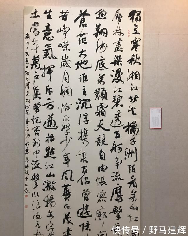 国展$“烧鸡体”看起来“丑丑”的,在国展中大受欢迎,他连入三届国展