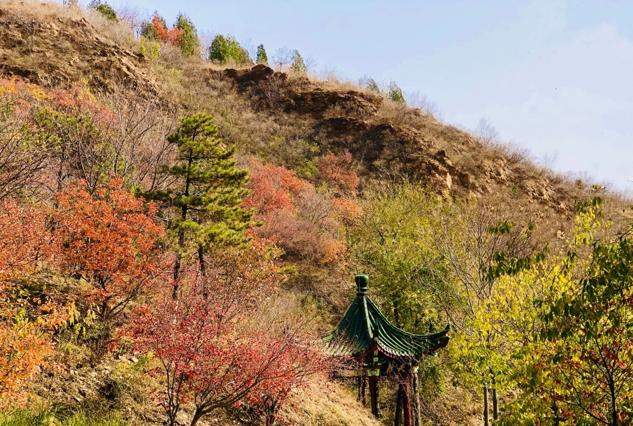 北宫国家森林公园|北京赏秋好去处，比香山人少，依山傍水而且还有漫山遍野的红叶！