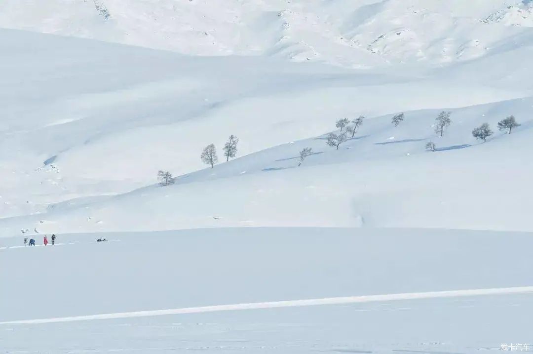 不到过新疆，永远不知道雪有多大。