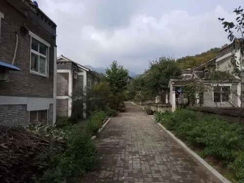 使用权|房子违法被拆，但宅基地依然要予以补偿！