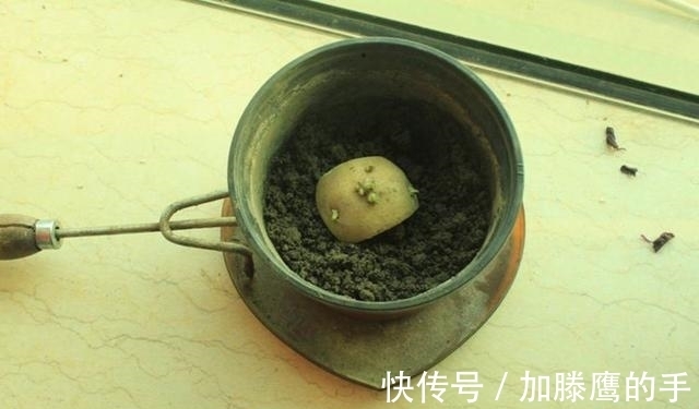 土豆发芽了，到底能不能吃？这么多年一直误解了，作用厉害