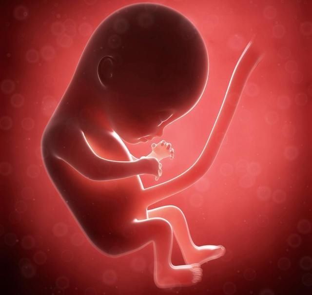 神经元|宝宝是否聪明，来自遗传还是孕期营养？了解以下问题才是重点