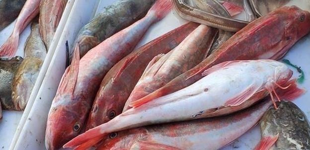 买鱼时，遇到这3种鱼扭头就走，重金属含量高，没营养还浪费钱！