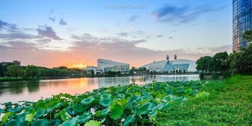 浙江省引进两所“重量级”的大学，均落户杭州，明年真有可能招生！