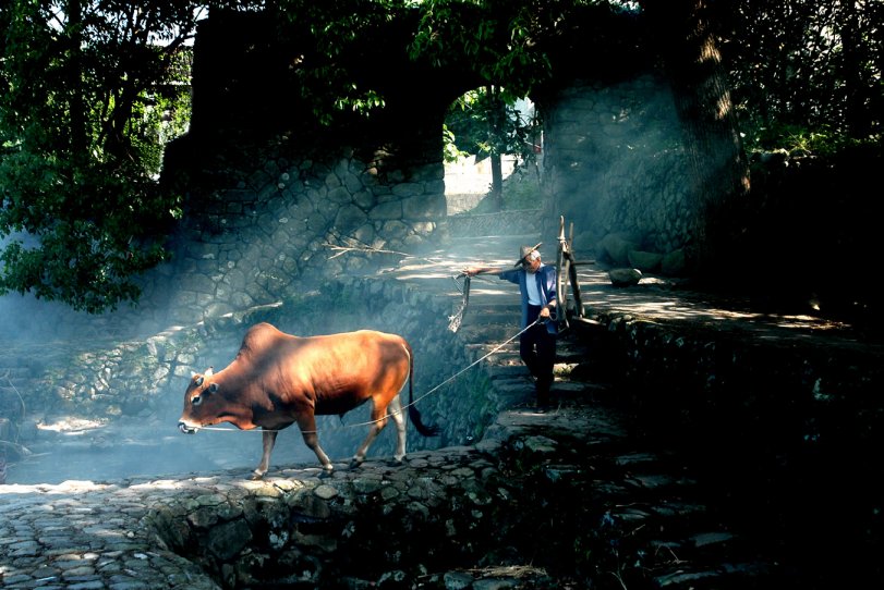 永嘉有宋村！《永嘉有宋村》登上全省首份地市级的双语杂志！