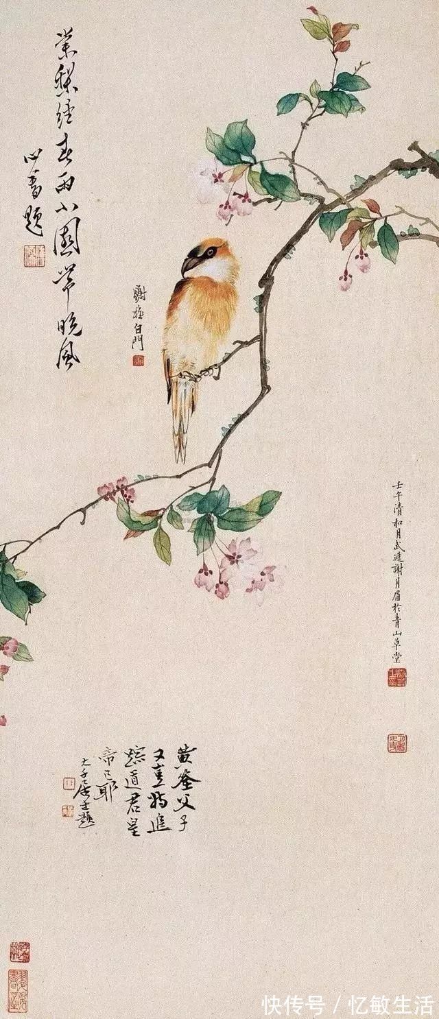 花鸟!她凭天赋自学书画,画画不到20年,却堪称“花鸟圣手”,成为一代传奇