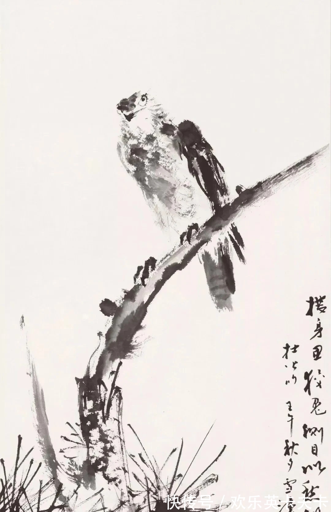 花鸟画!清俊靓丽|最具辨析度的中国画,王雪涛花鸟画