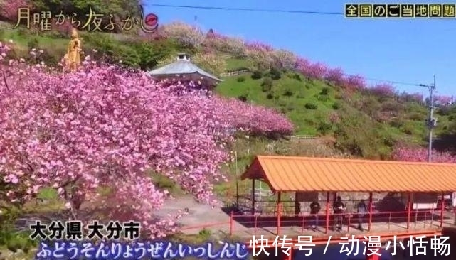 “成人动画无码”“二次元寺庙”,日本宅男这是要逆天吗?