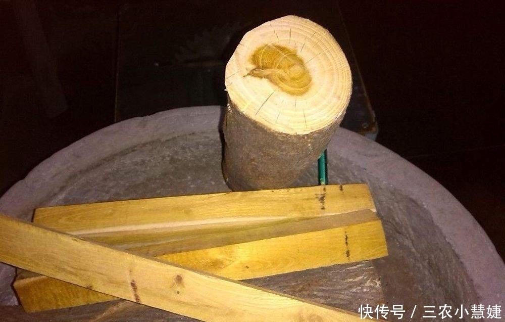 过去砍来当柴烧,如今价值十分珍贵,树芯含“黄金”,人称黄金木