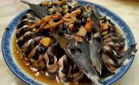 如今|横行了1亿年没有天敌,如今却败在了中国吃货的嘴里