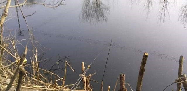 冬天|别觉得冬天气温低就不好钓鲫鱼,注意这几点,再冷的天也有鱼口