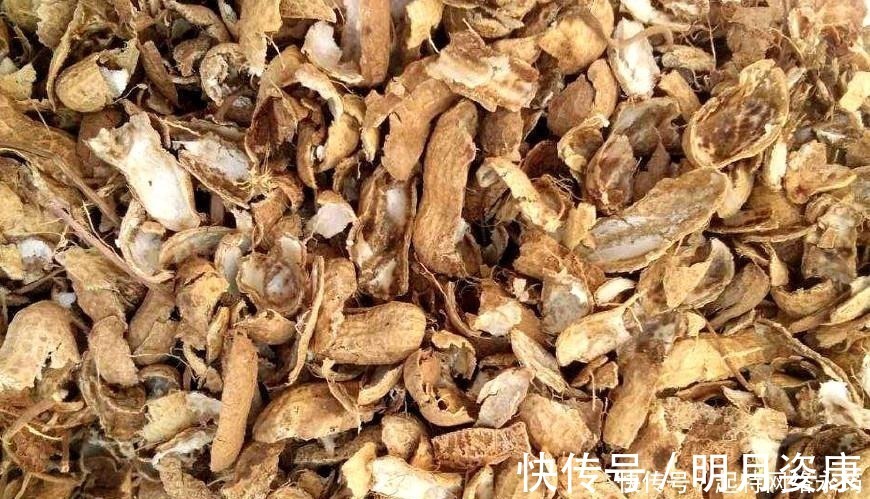 根壮|路边捡一把扔到花盆里,土壤肥的流油,根壮不腐烂,3年不用换土