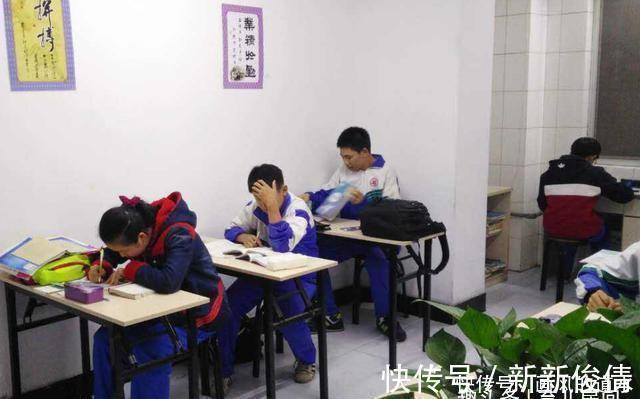 培训班|李玫瑾:孩子报这3种“培训班”,浪费时间浪费钱,还没什么效果